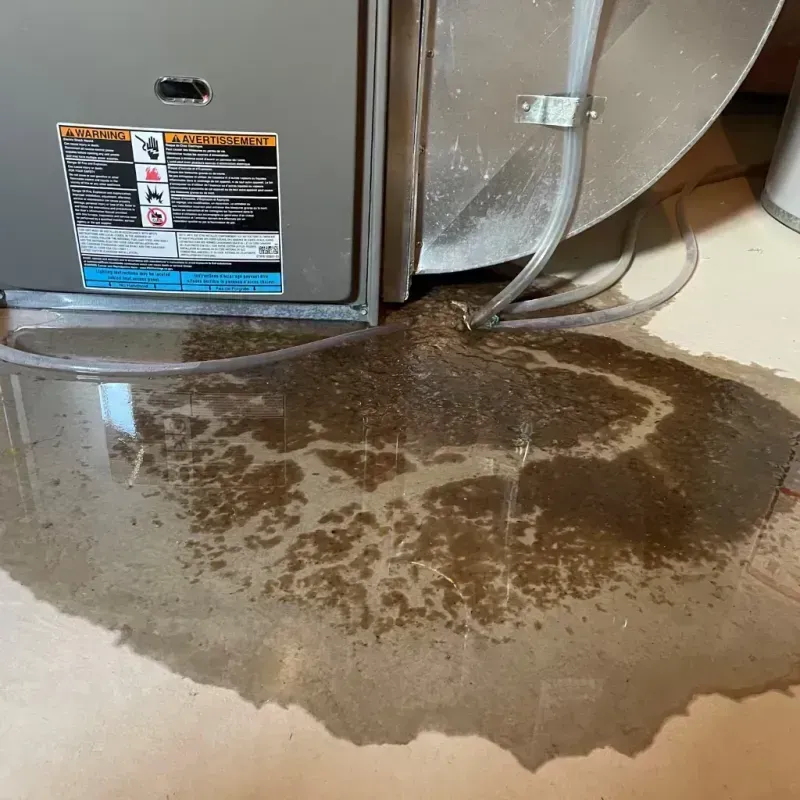 Appliance Leak Cleanup in Phelan, CA